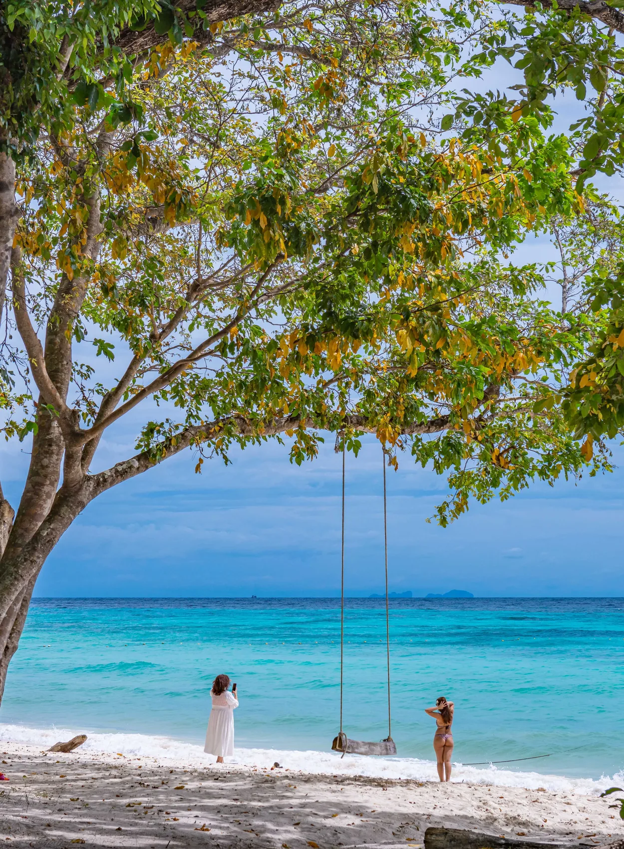 Beach swing beneath broad trees facing Rok Island's turquoise water